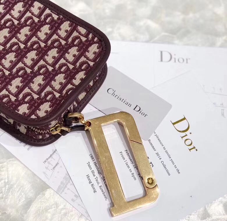 Dior包包价格 迪奥秋冬新款经典印花帆布相机包手拎包19CM 酒红色